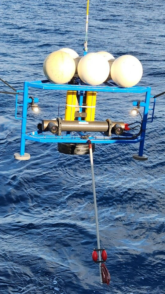 Spiney Rope CSIRO deep sea cameras capture new species off Australian coastline ...