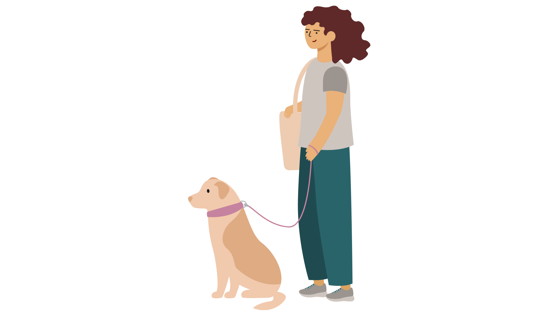 'Dogsharing' arrangements connect busy owners with petless companions