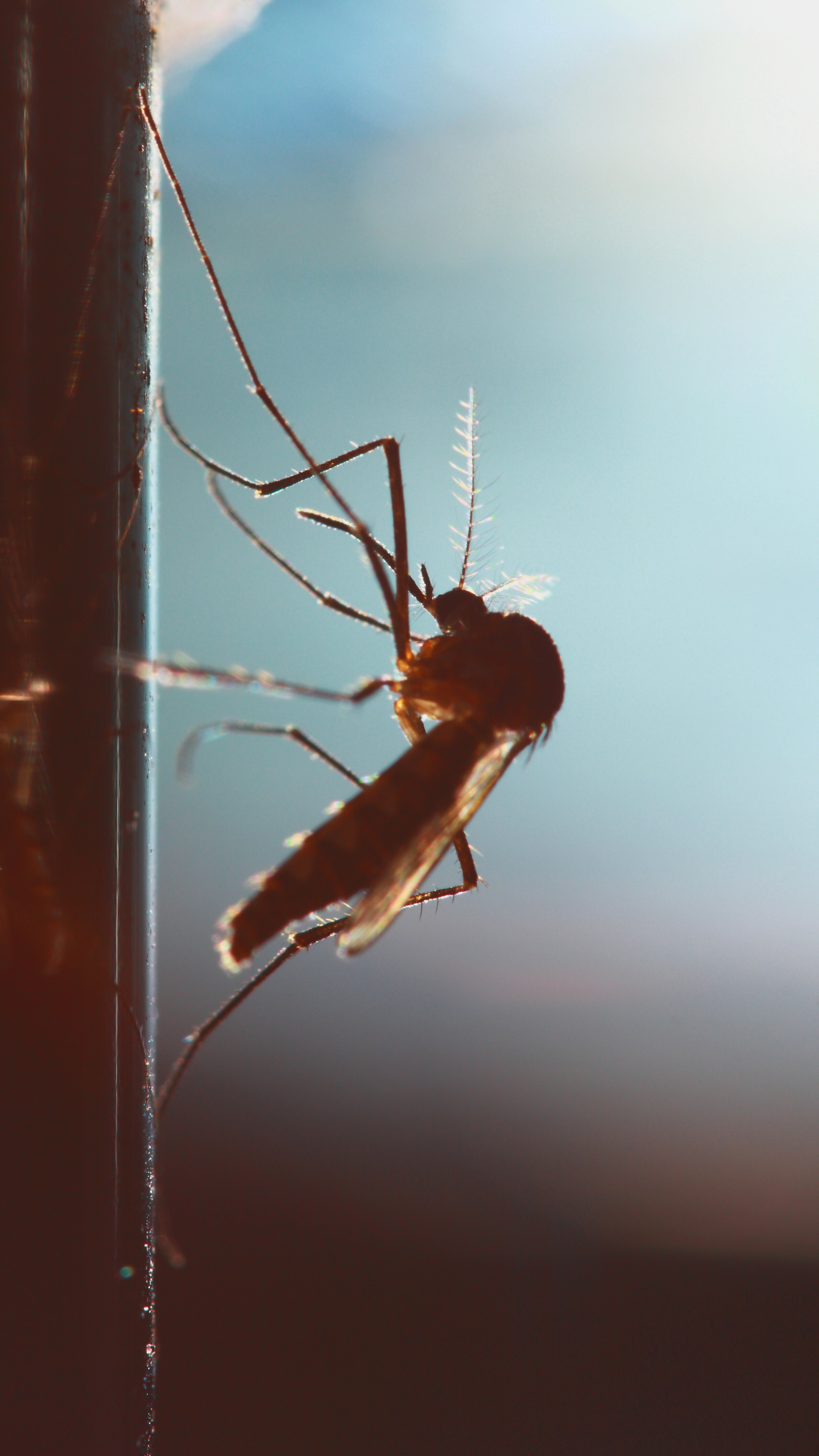 Want to know what actually stops mossie bites itching? Here’s what ...