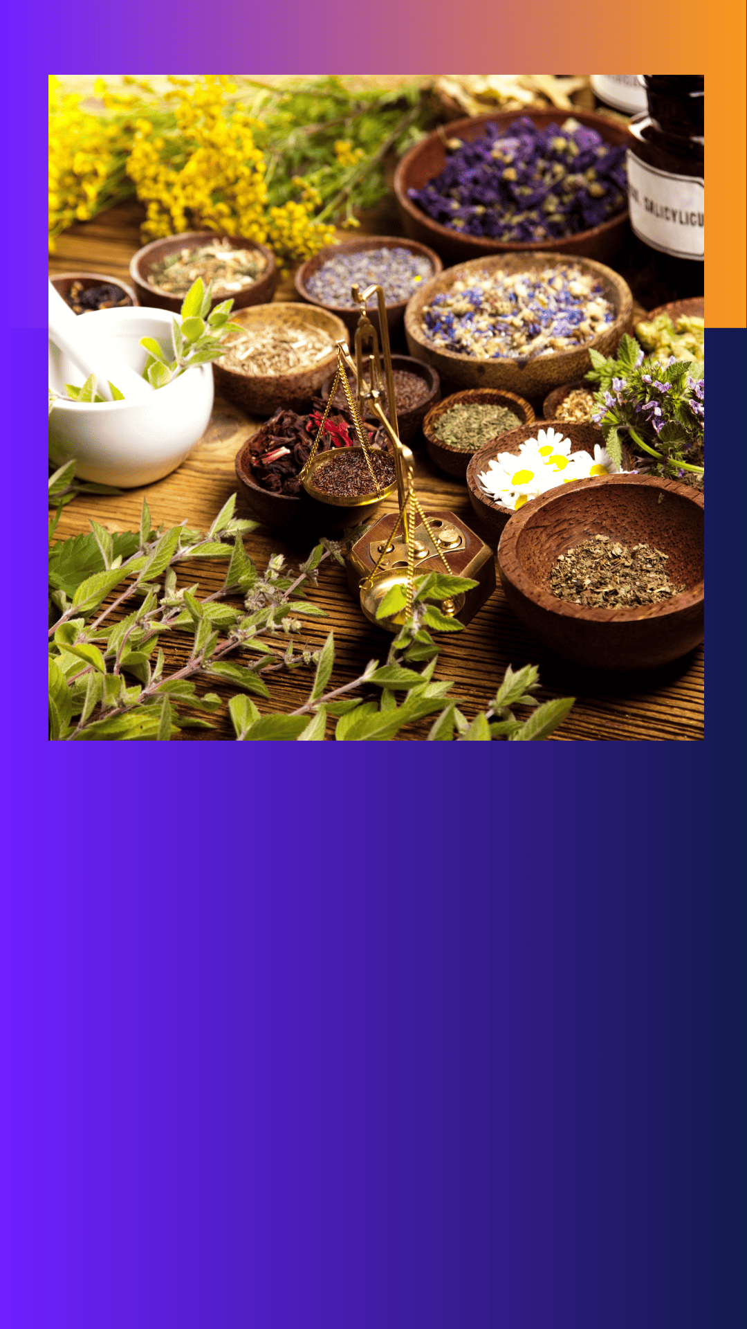 herbal,herbs,plant,flower,pottery,leaf,potted plant,cookware,pot,meal