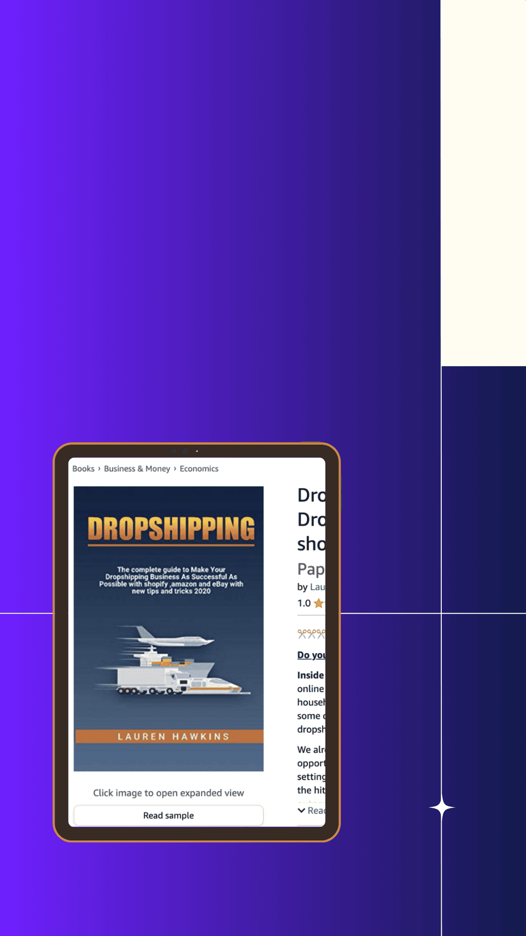 computer,electronics,aircraft,airplane,vehicle,computer hardware,monitor,screen,pc,page