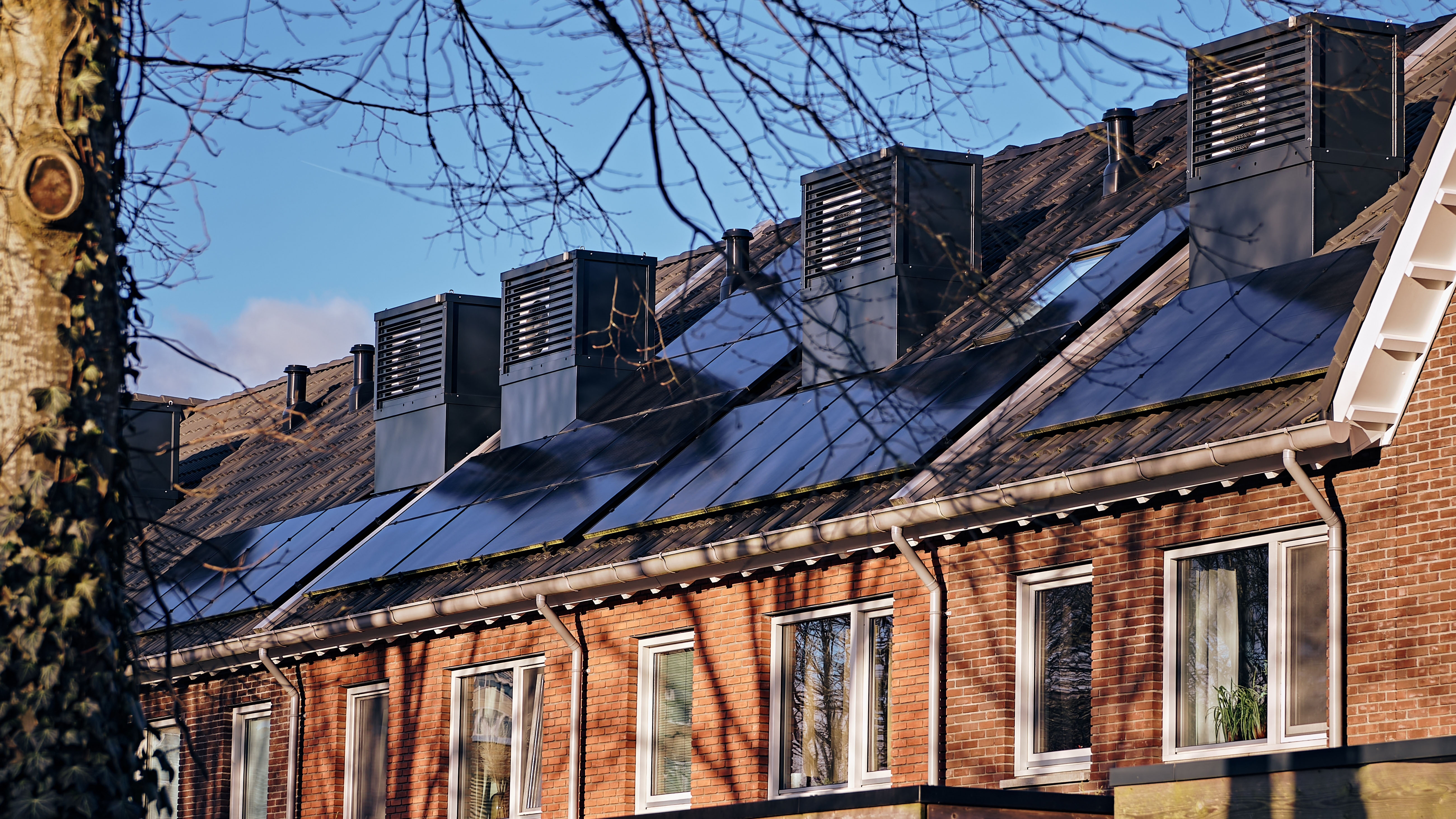 architecture,building,housing,house,plant,roof,electrical device,window,brick,solar panels