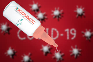 dynamite,weapon,toothpaste,bottle,cosmetics,cricket bat,sport,cricket,marker