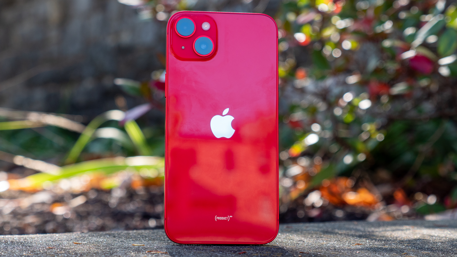 iphone-14-plus-review-7-key-points-to-consider-in-december-2023-cashify