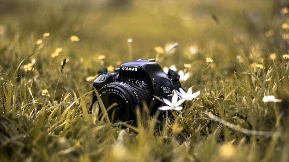 Best Canon cameras of 20241709819489705.jpg