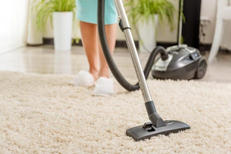 Best vacuums deals for thick carpet