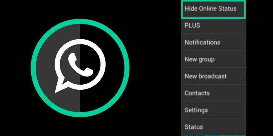How-to-Hide-Online-and-Last-Seen-on-Whatsapp-Method-3-1024x512.jpg