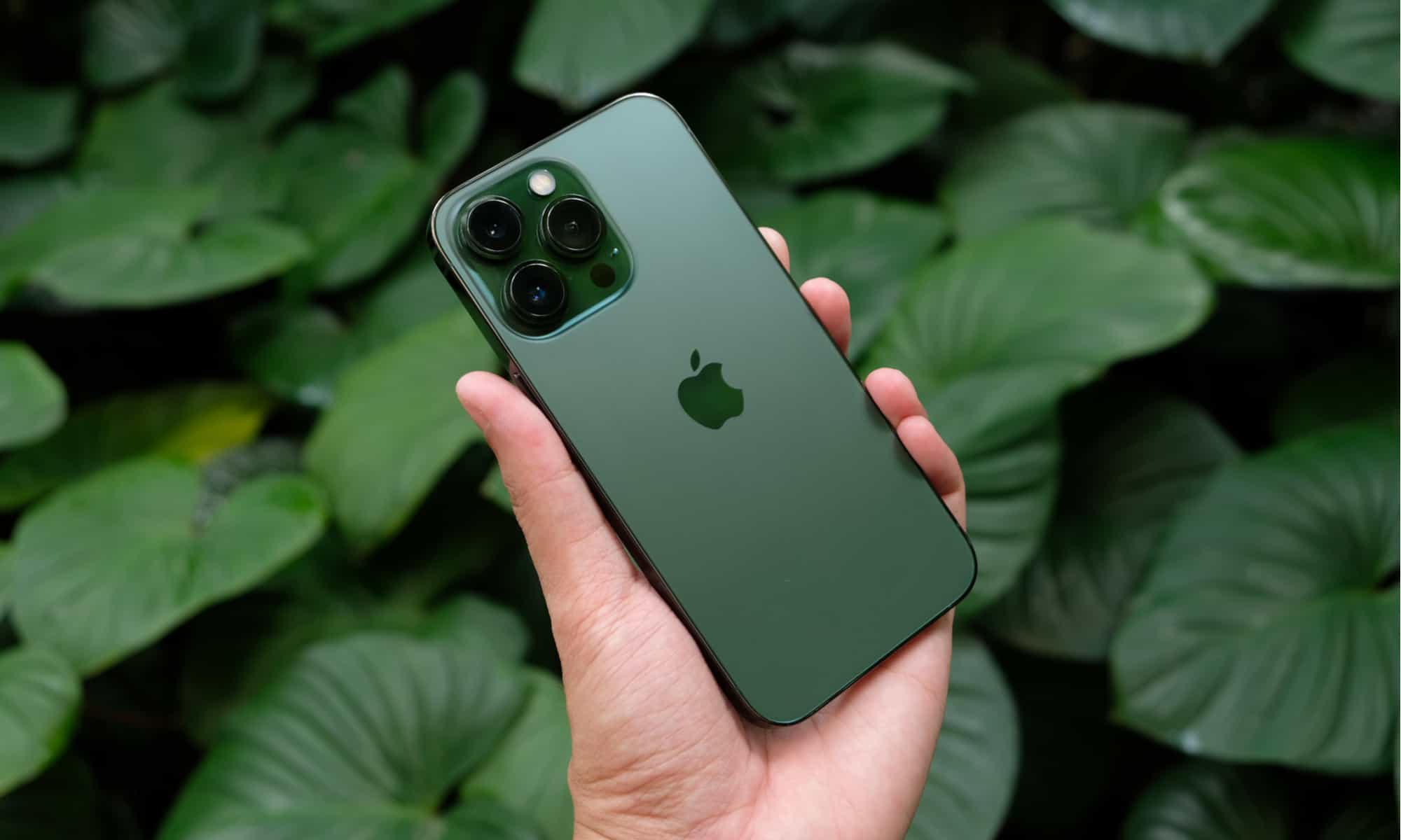 iPhone 13 Pro Max Review: 7 Key Points to Consider in January 2024 ...