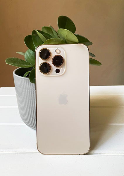 electronics,phone,mobile phone,plant,potted plant,speaker