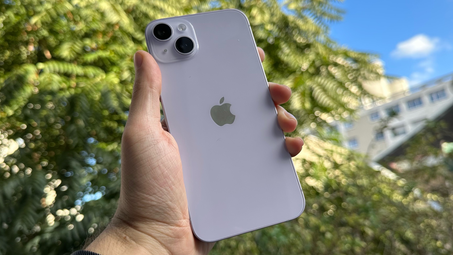 electronics,mobile phone,phone,iphone