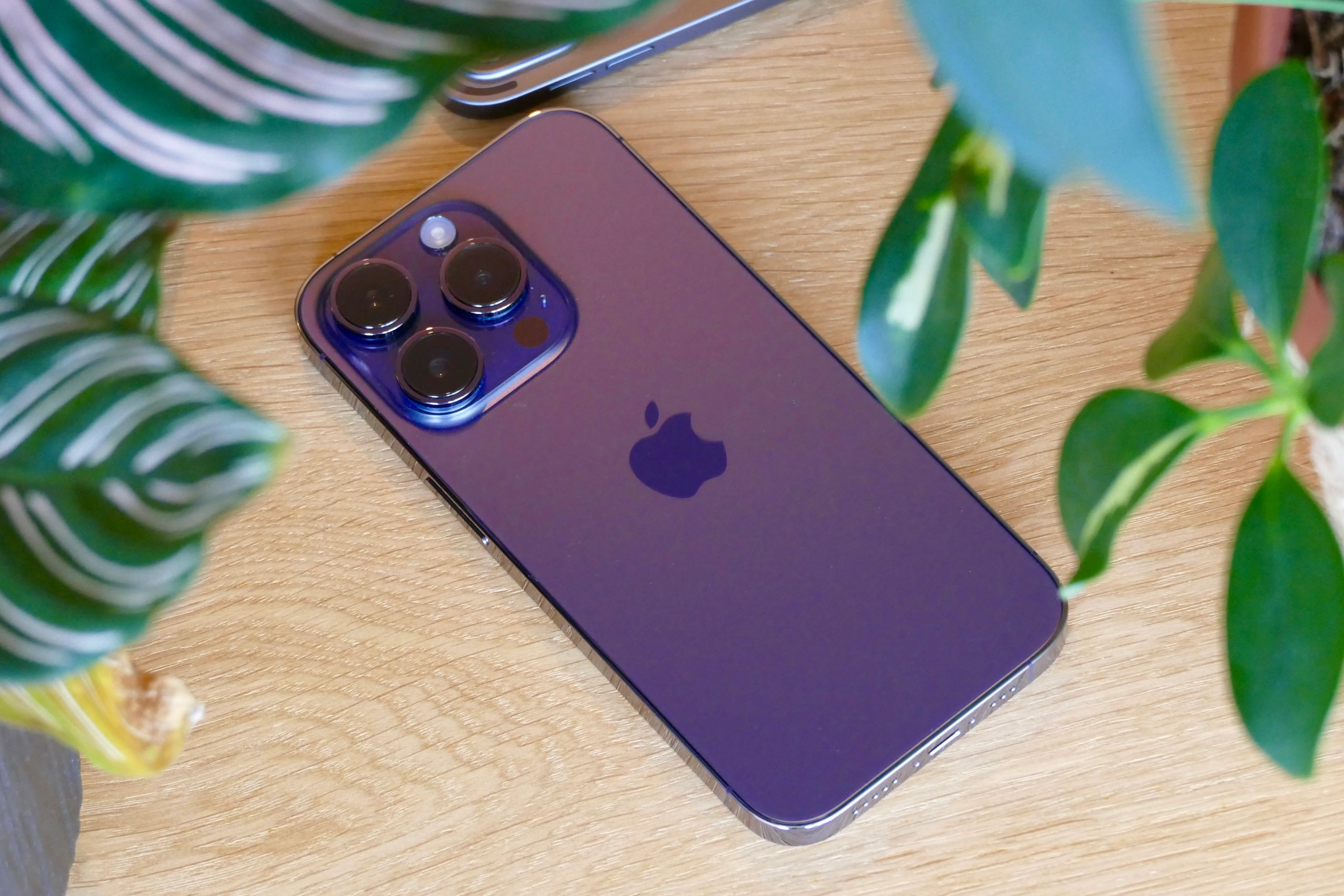 iPhone-14-Pro-Deep-Purple-Back.webp