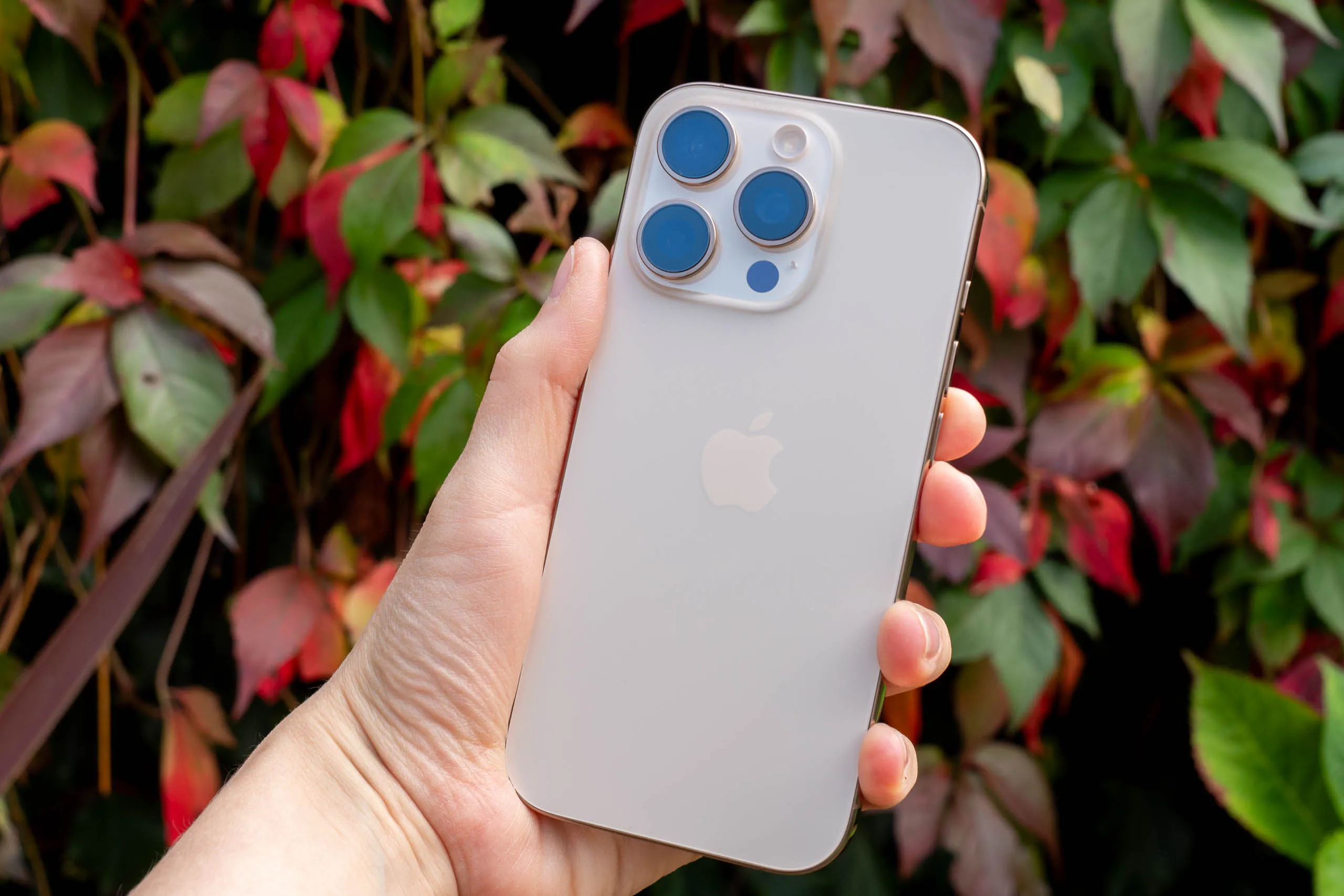 iphone11-review.webp