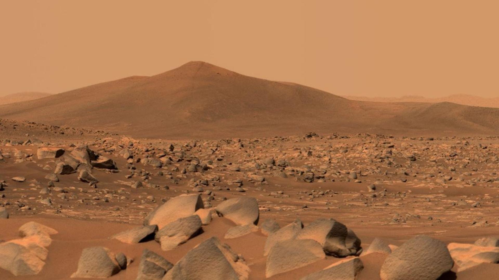 l82920230327143456.jpg