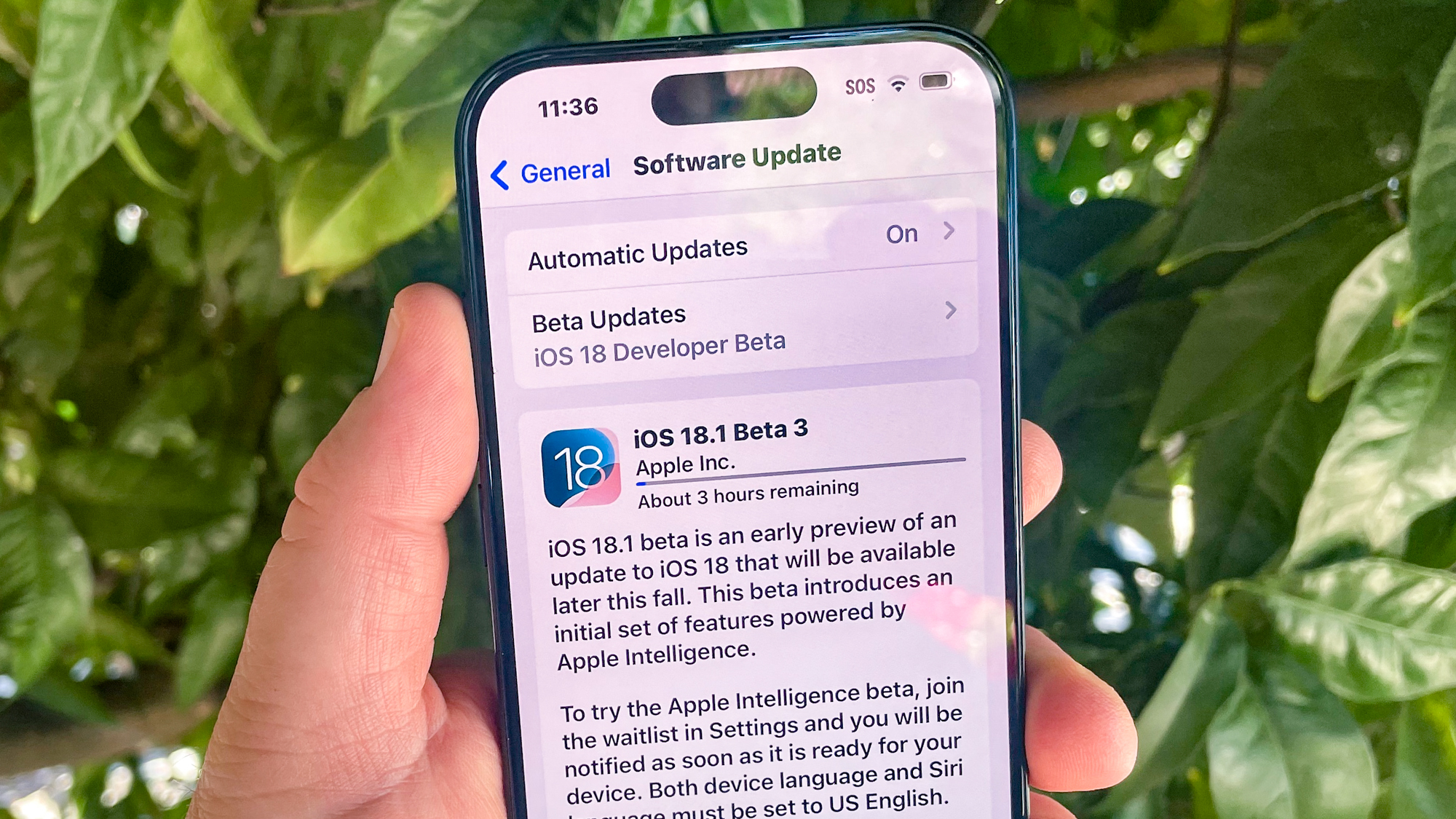 5 Game-Changing Features in Apple’s iOS 18.1 Update (Oct 2024) - Cashify
