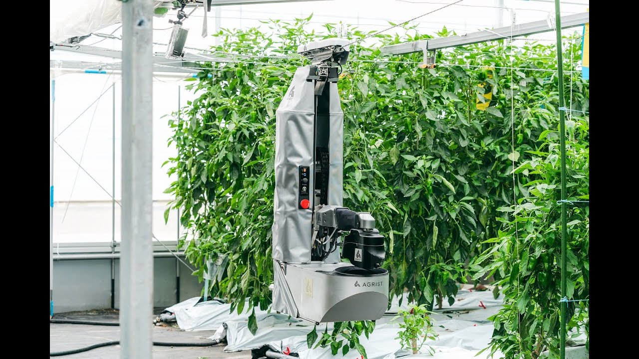 maxresdefault (10).jpg