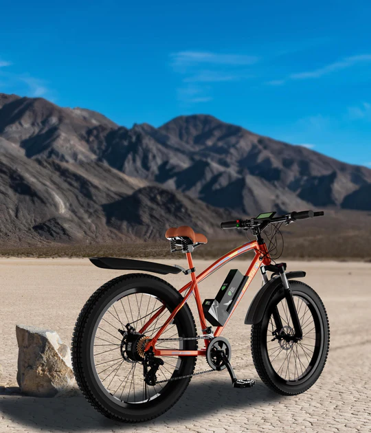 ModelE-OrangeBlue5_540x.webp