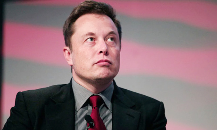 musk.jpg