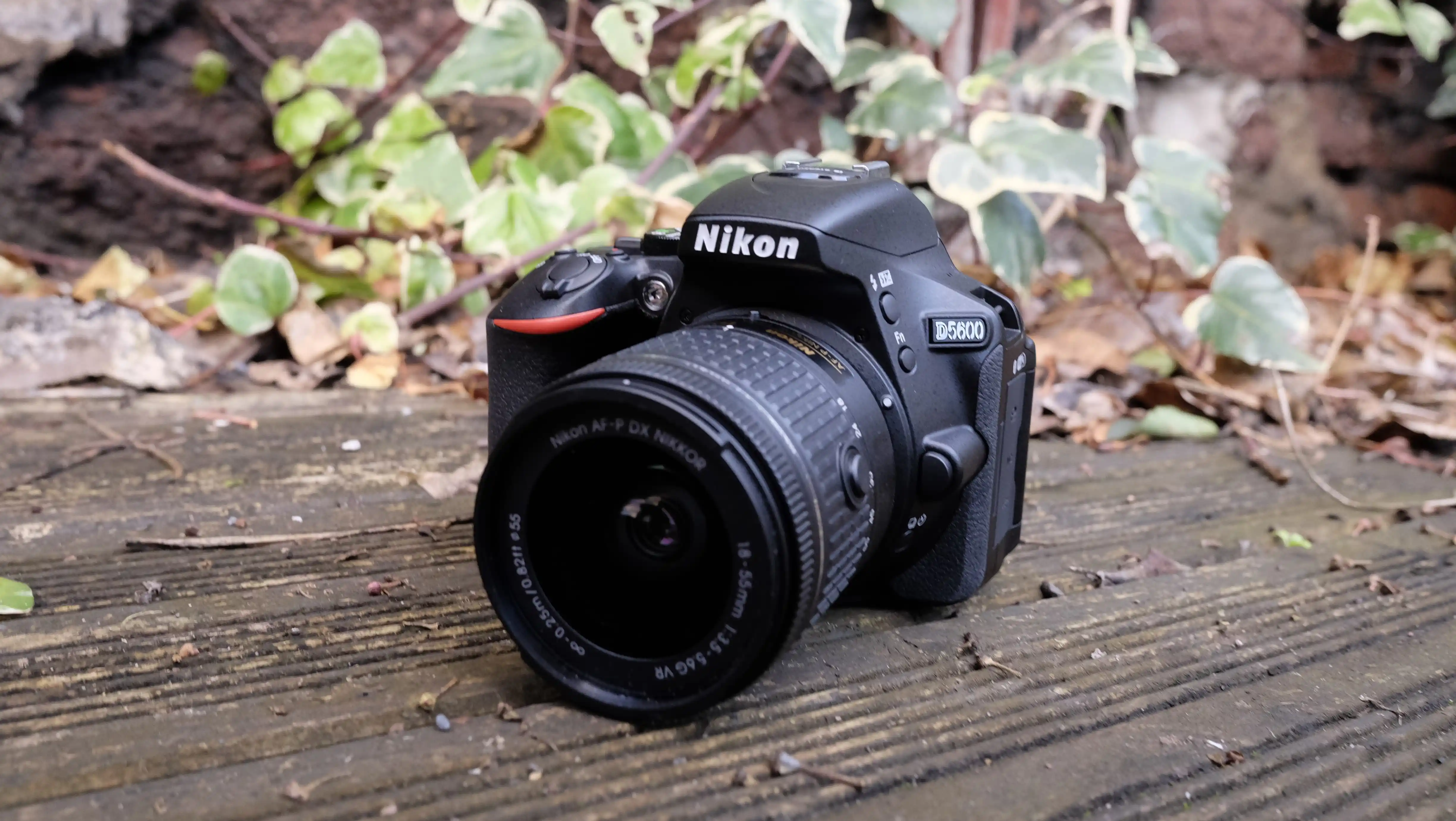 nikon_d5600_productshots_01.webp