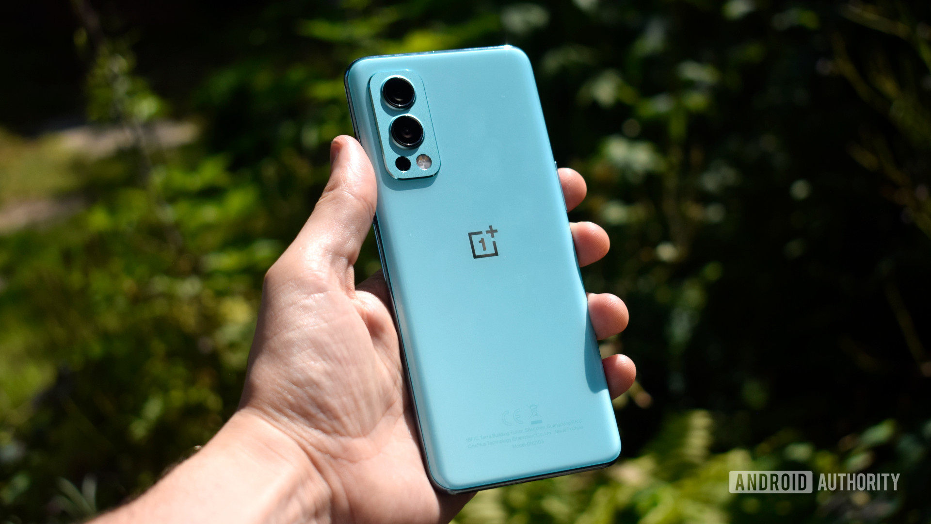OnePlus-Nord-2-5G-in-hand-back.jpg