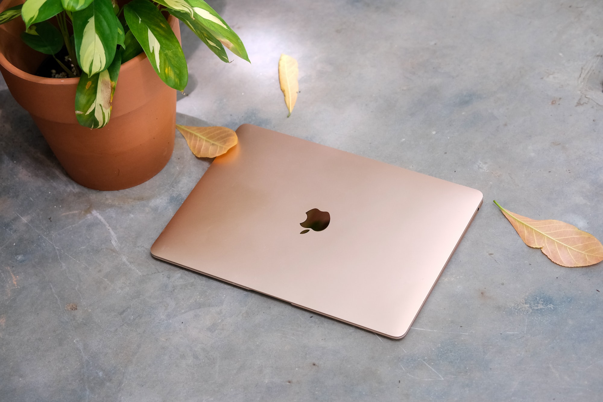 MacBook Air M1 Gets Flat 30,000 Off Before Amazon Great Indian Festival ...