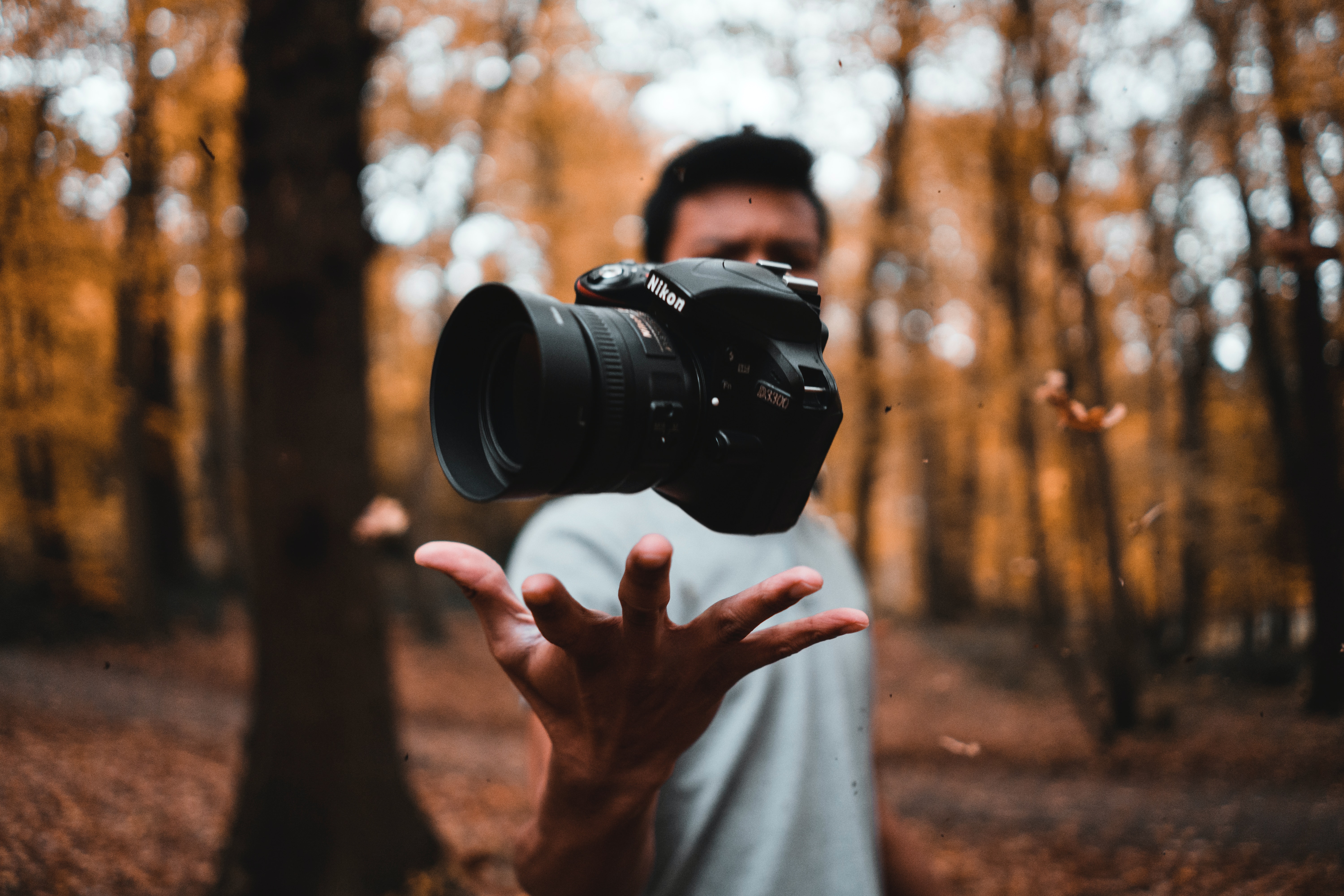 reinhart-julian-WxM465oM4j4-unsplash.jpg
