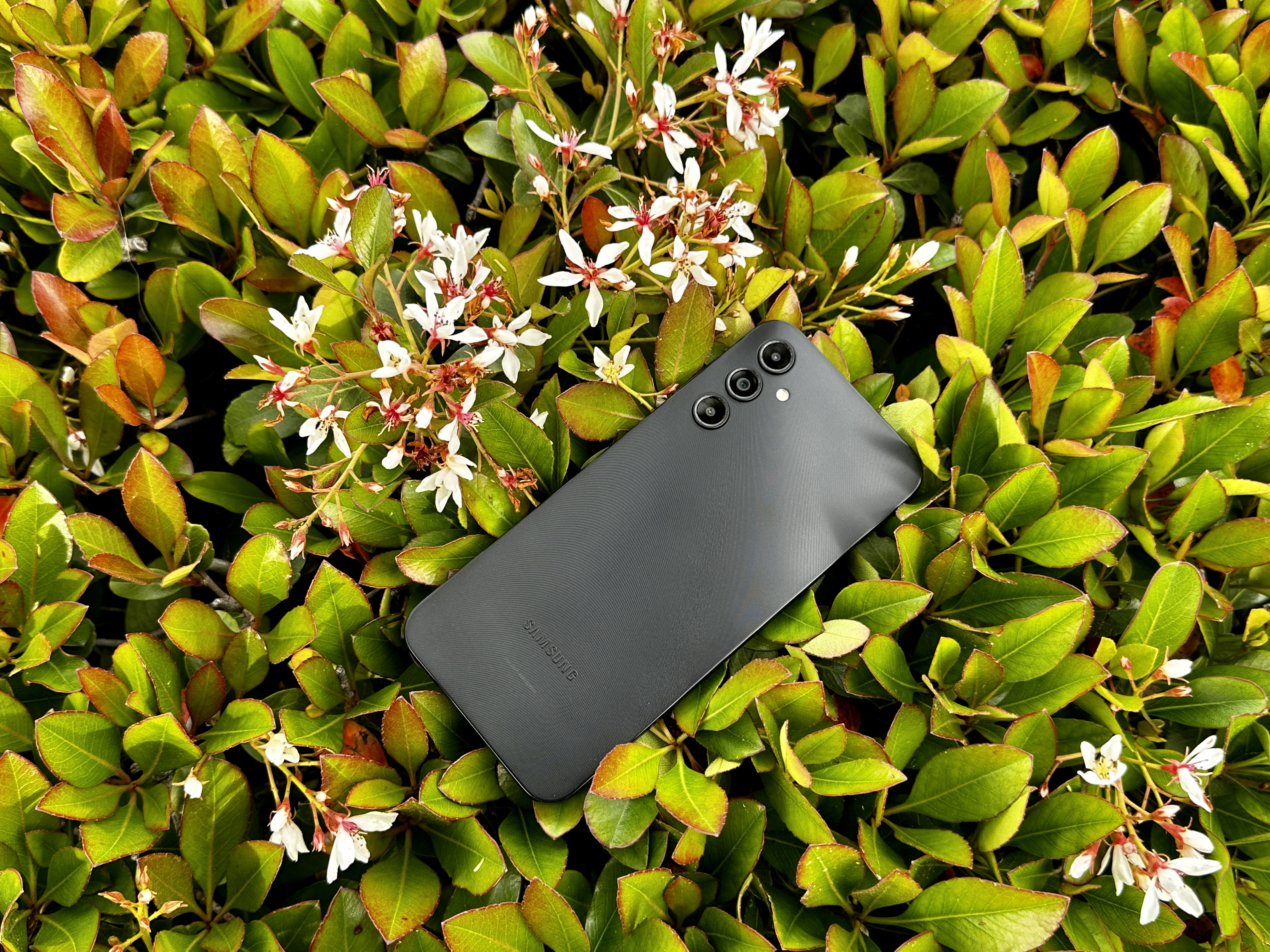samsung-galaxy-a14-5g-back-flowers.jpg