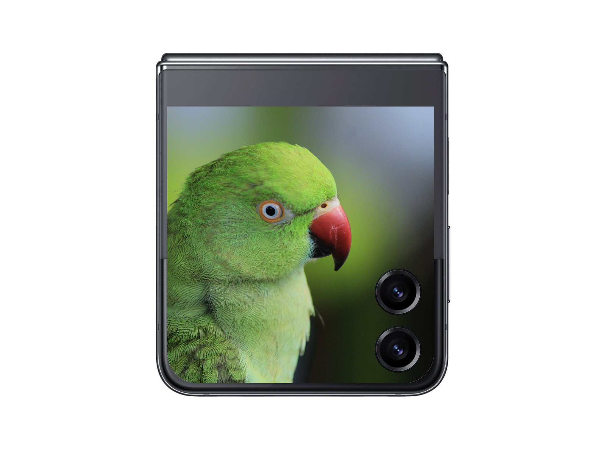 Samsung Galaxy Z Flip 5.jpeg
