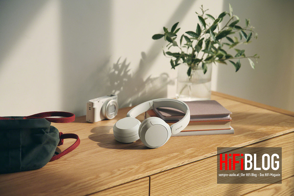 wood,furniture,table,plant,potted plant,hardwood,interior design,handbag,electronics,camera