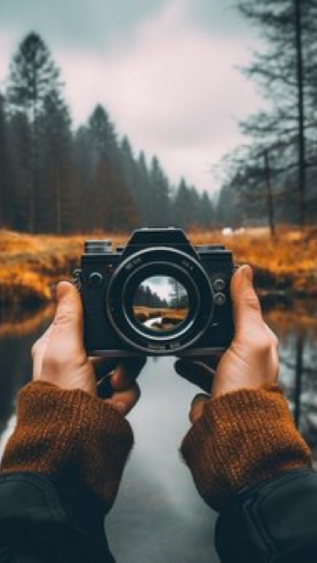 Untitled design - 2024-05-07T225528.869.png