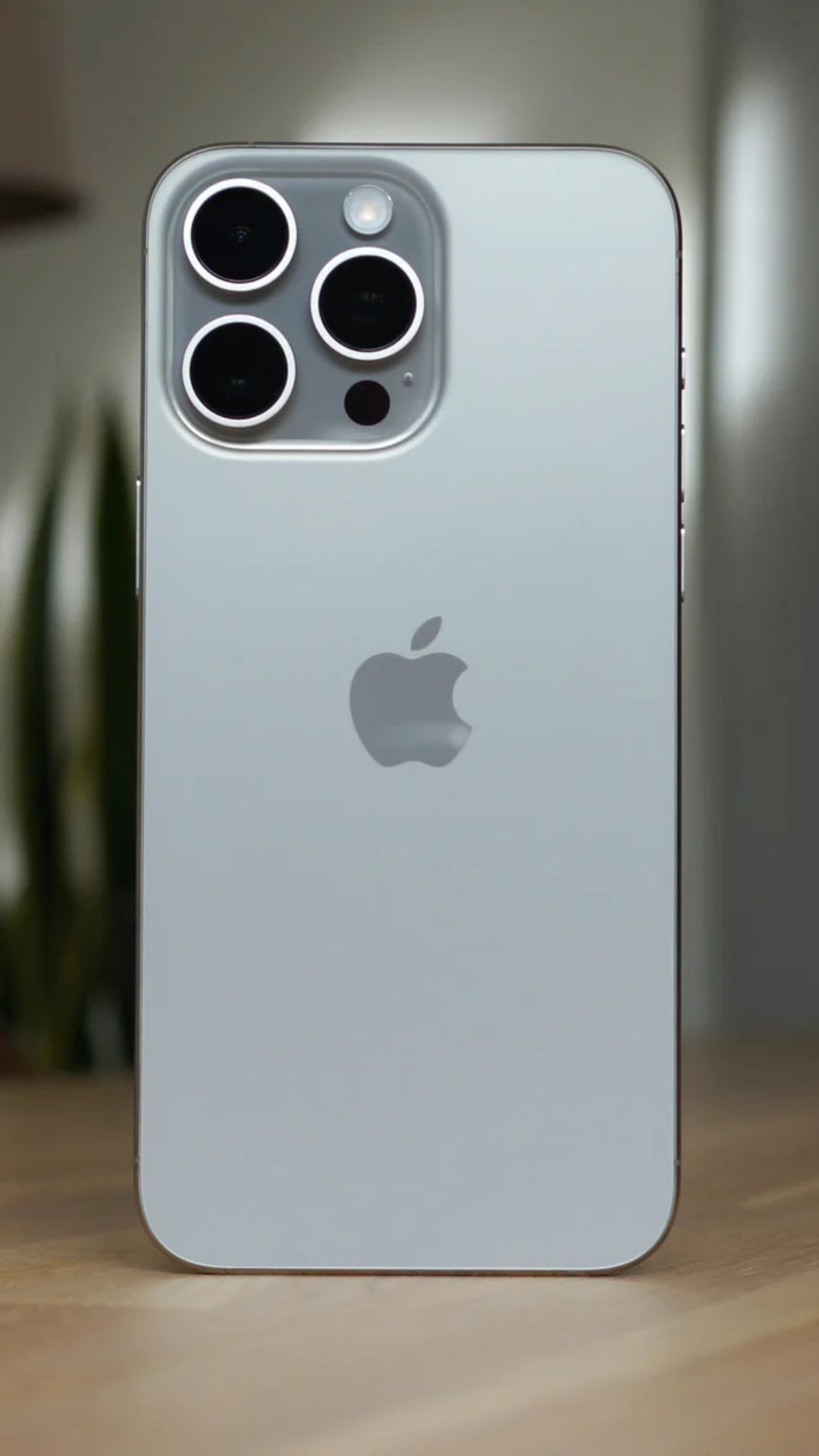 Untitled design - 2025-02-04T233641.458.jpg