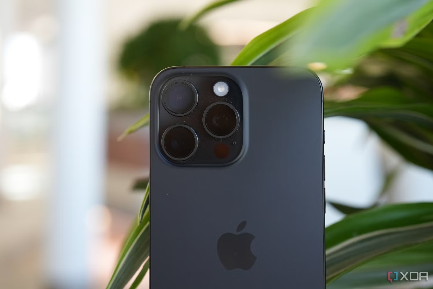 WhatsApp Image 2023-09-26 at 1.24.31 AM.jpeg