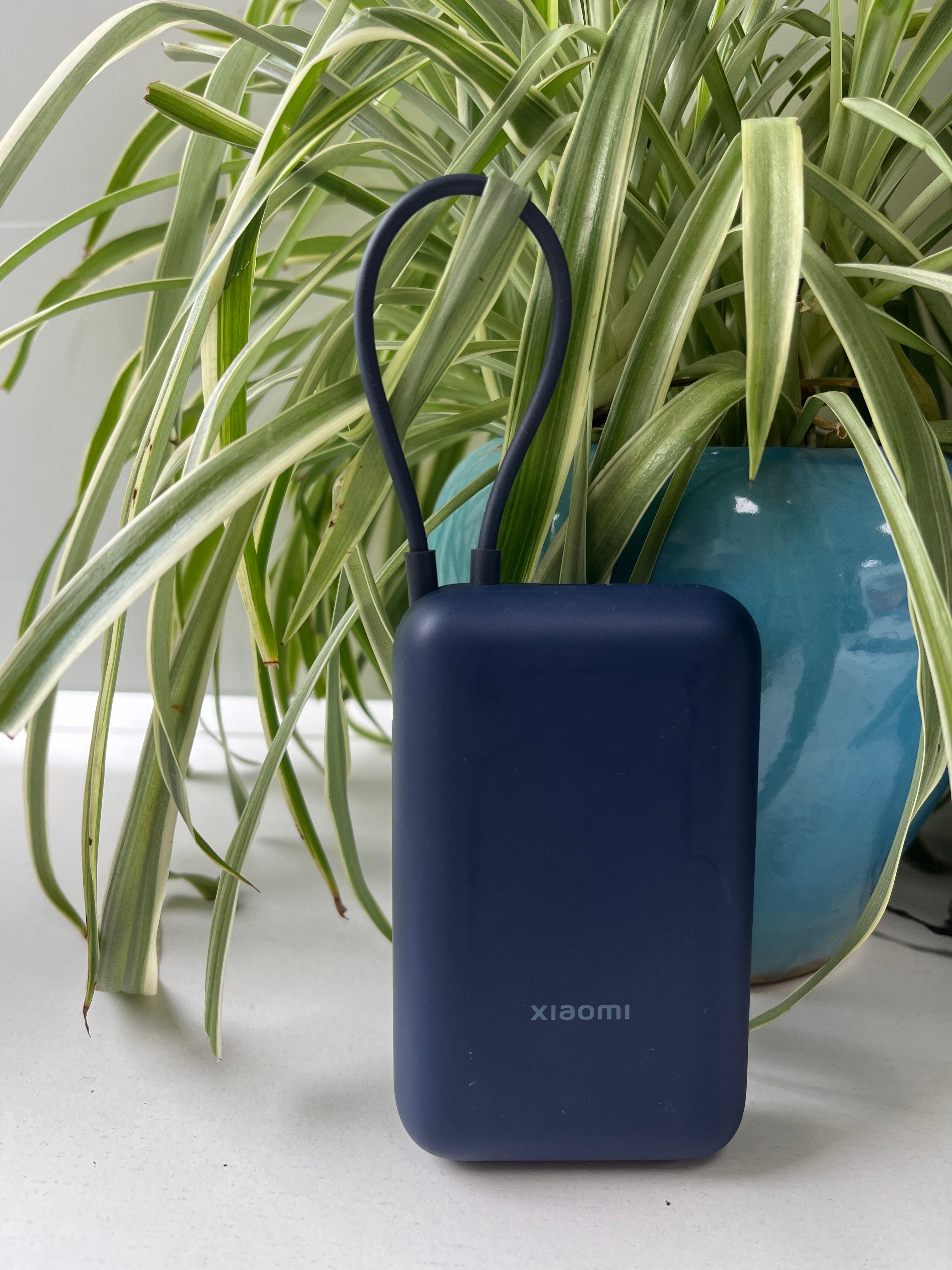 pottery,electronics,hardware,plant,potted plant,jar,vase,modem