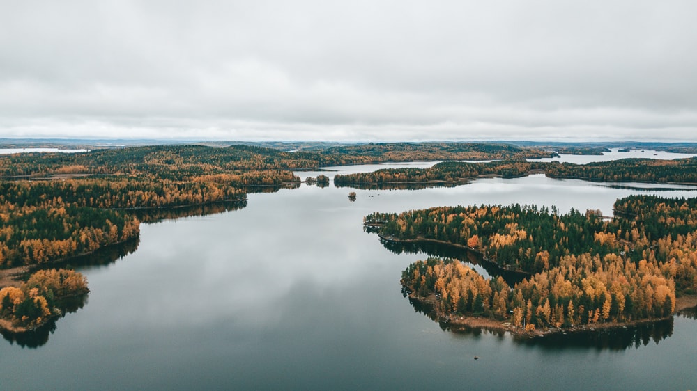 lake,trees,yellow,green