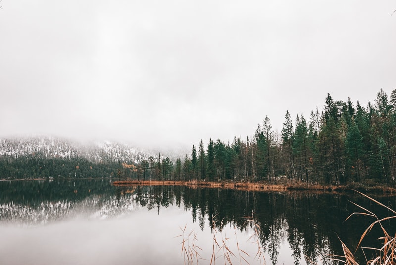 lake,trees