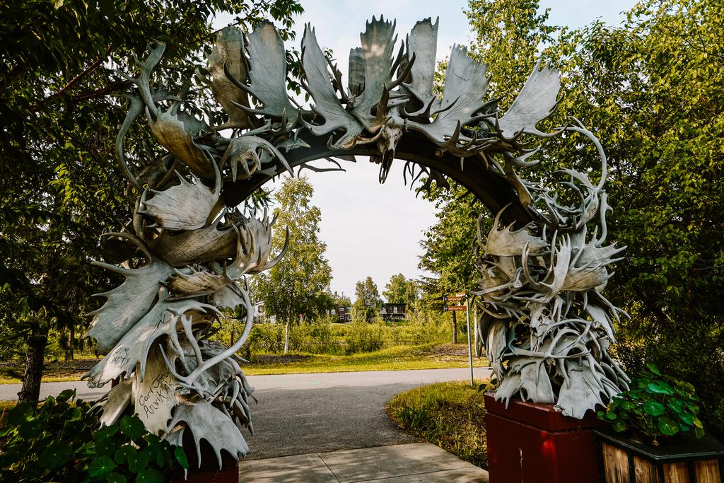 green,branches,arch,way,alaska