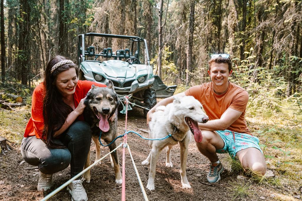 dogs,husky,alaska,rescue,centre