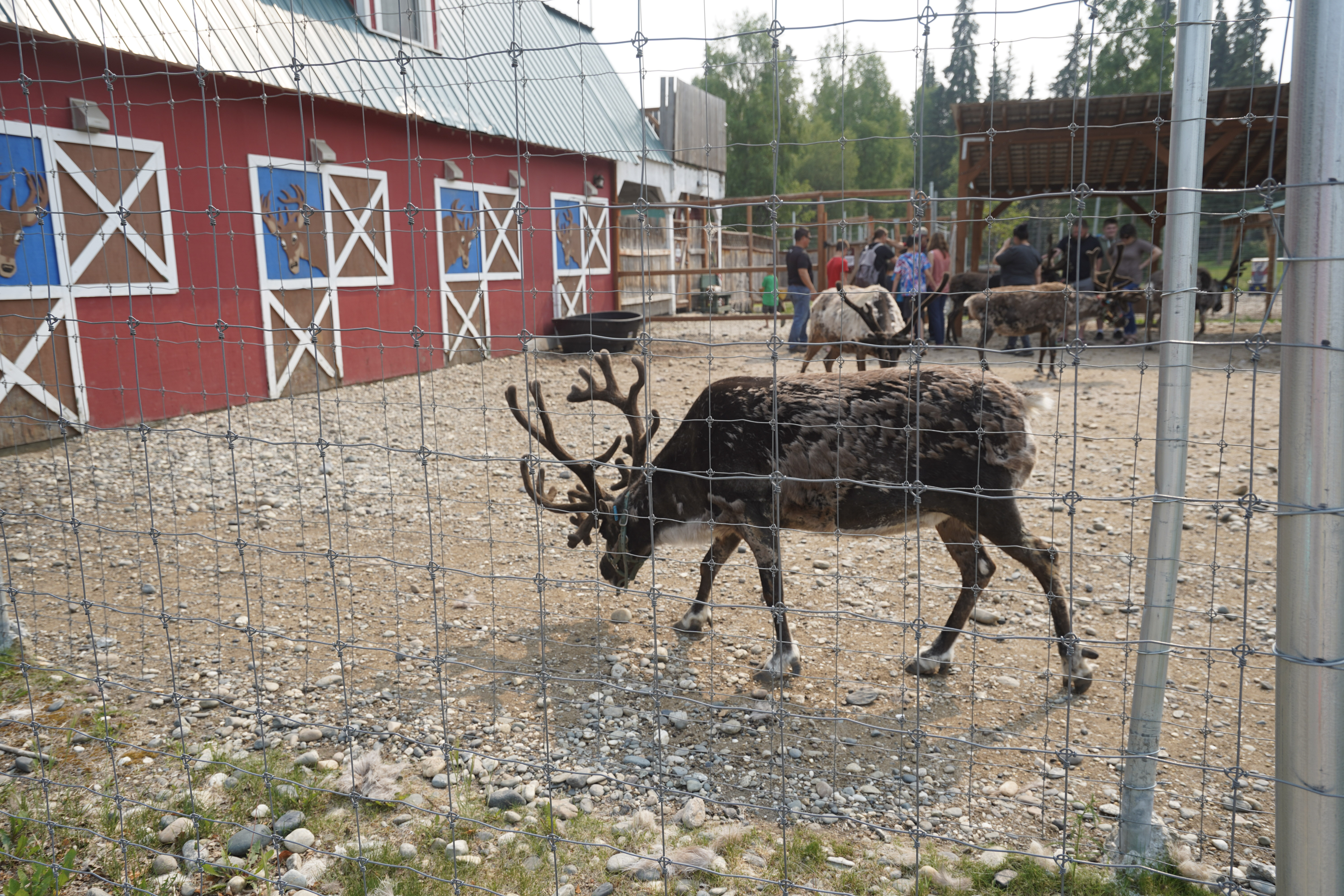ice,museum,alaska