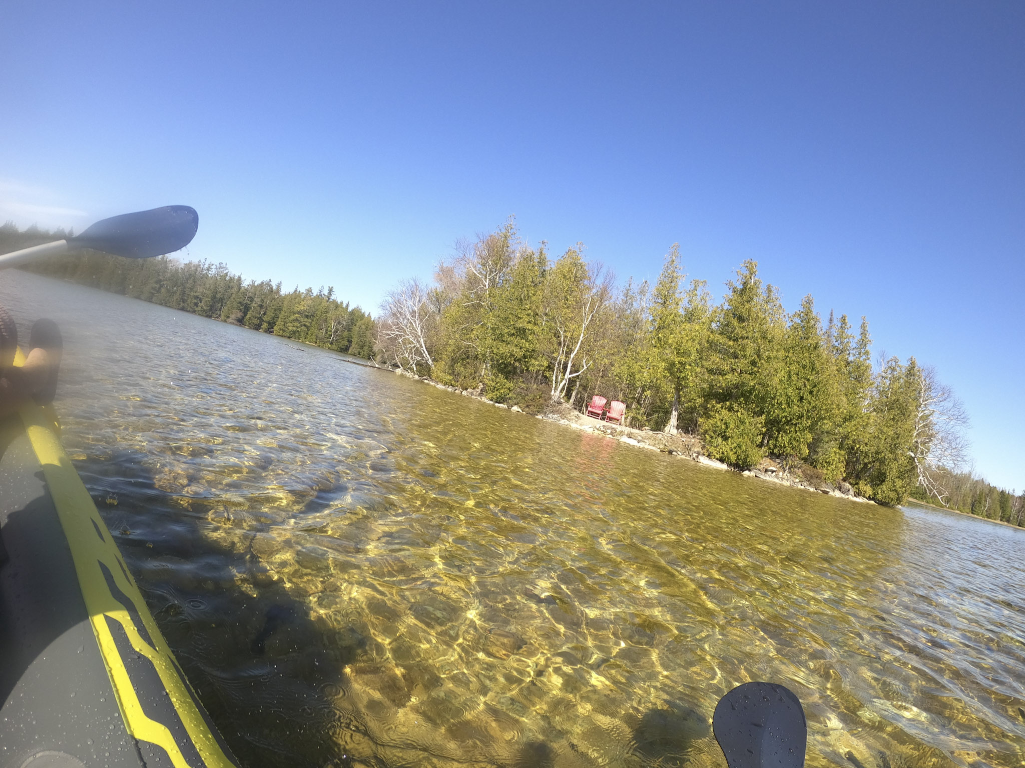 outside,lake,trees,green,blue,sky