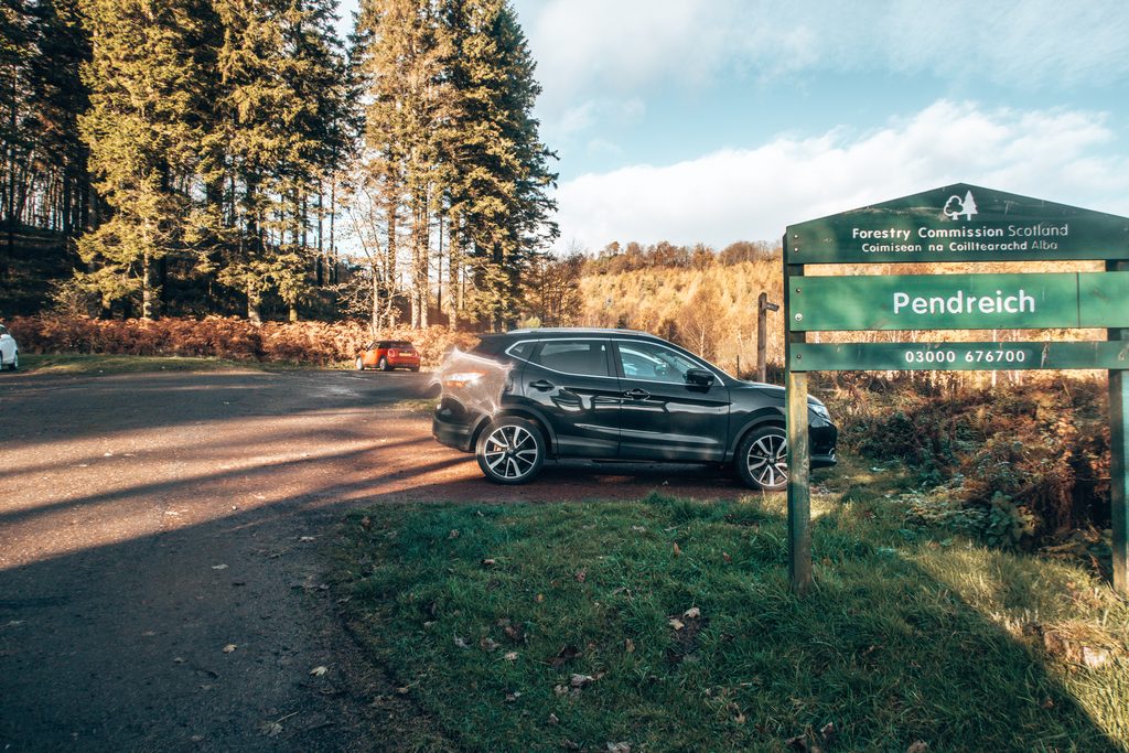 nature,outdoors,cars,sign,grass
