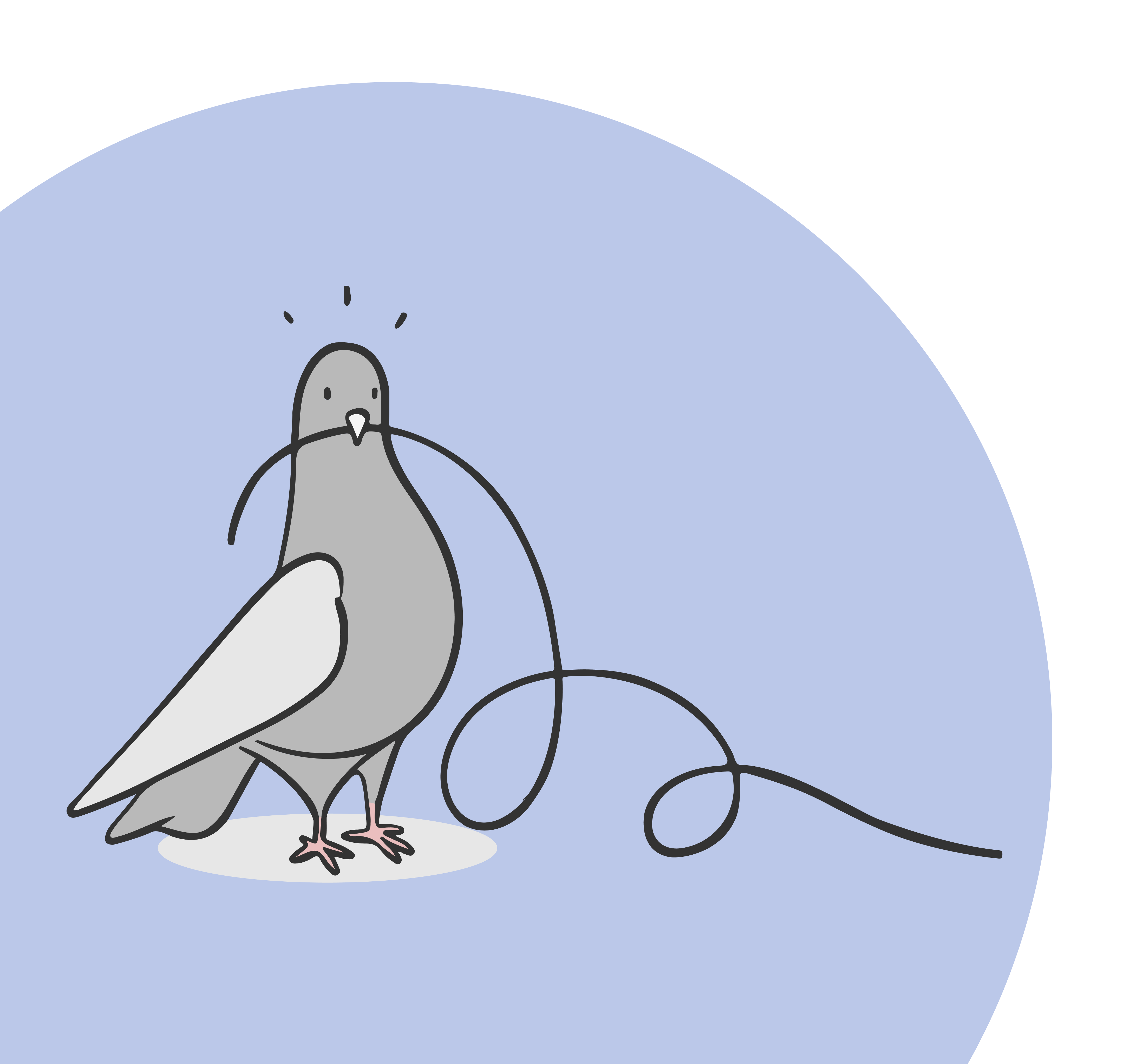 bird,animal,text,nature,outdoors,dove,pigeon