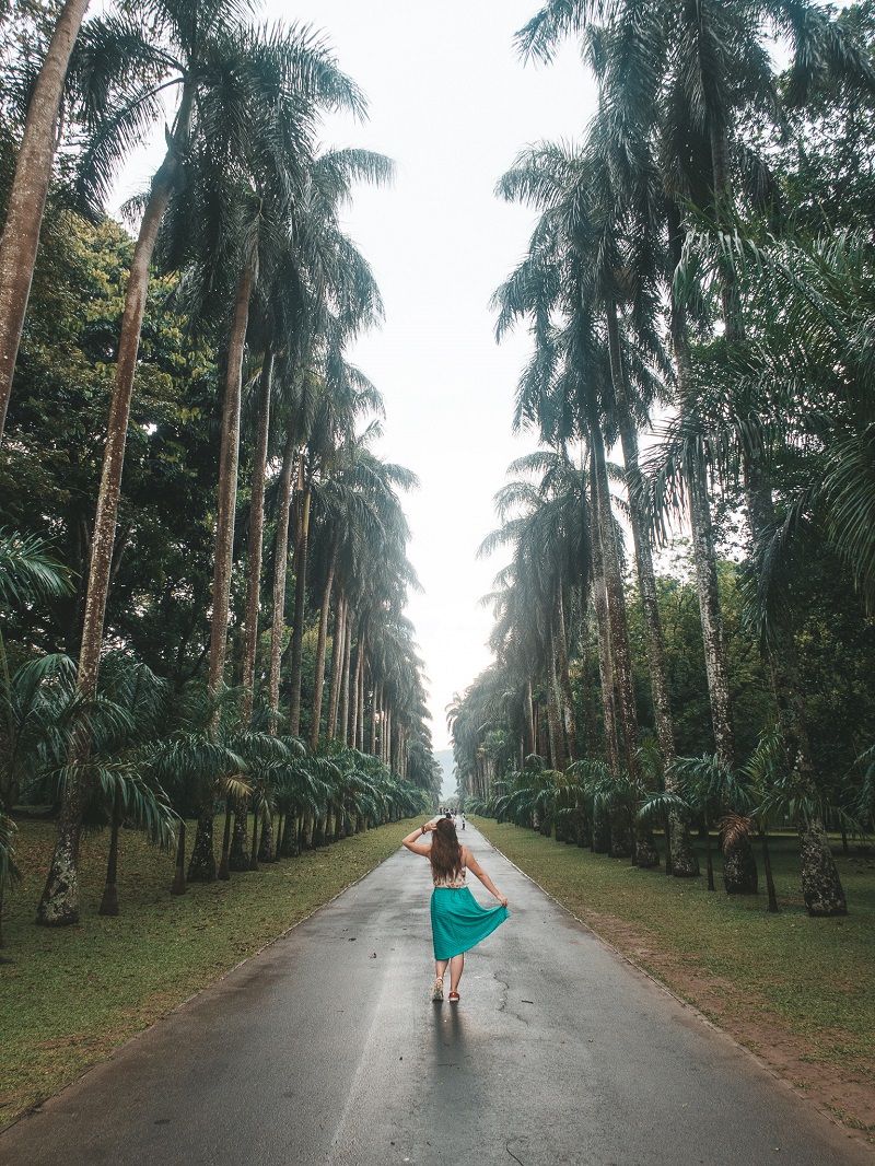 road,person,palm,trees