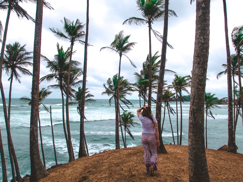 water,beach,waves,sea,ocean,trees,person,walking