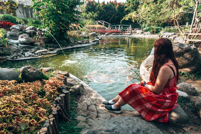 person,water,fish,trees,rock