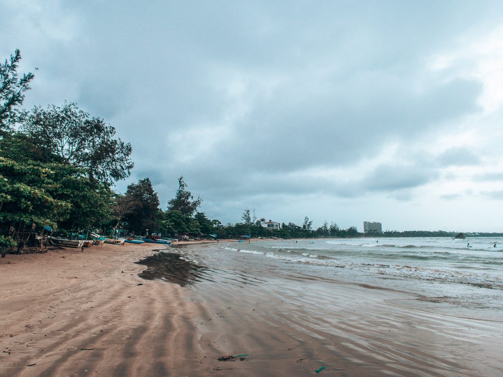 water,beach,boats,trees