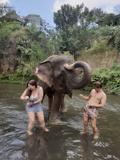 couple,people,water,elephants