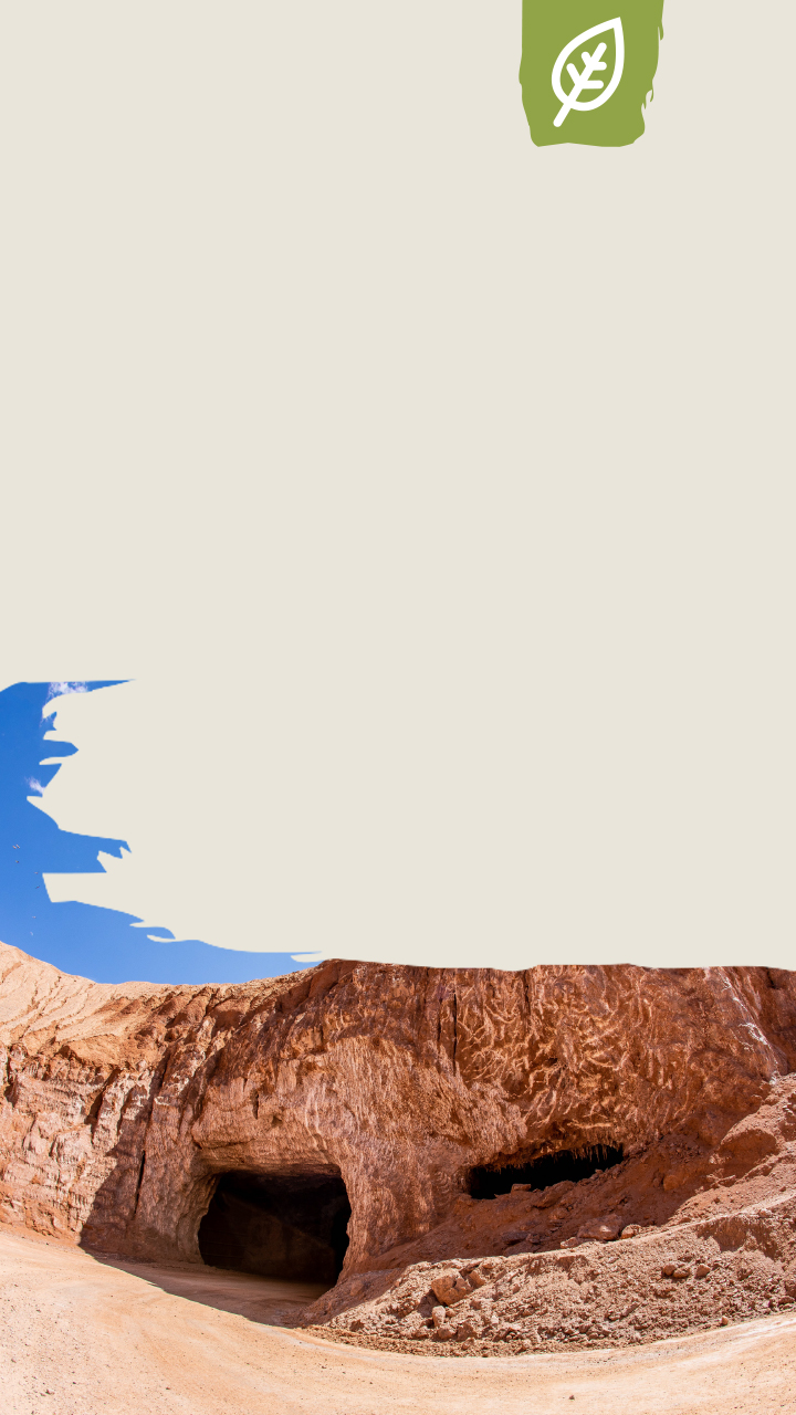 nature,outdoors,mountain,soil,peak,mountain range,landscape,panoramic,flying,animal