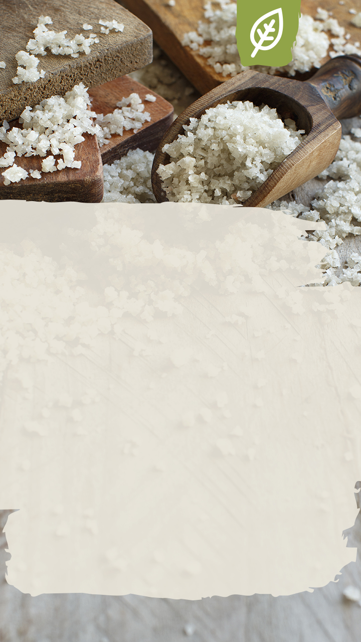 plant,food,rug,sweets,confectionery,chocolate,dessert,vegetable