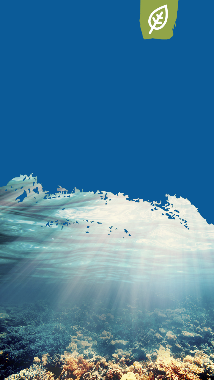 nature,outdoors,scenery,landscape,sea,water,panoramic,ice,mountain,sky