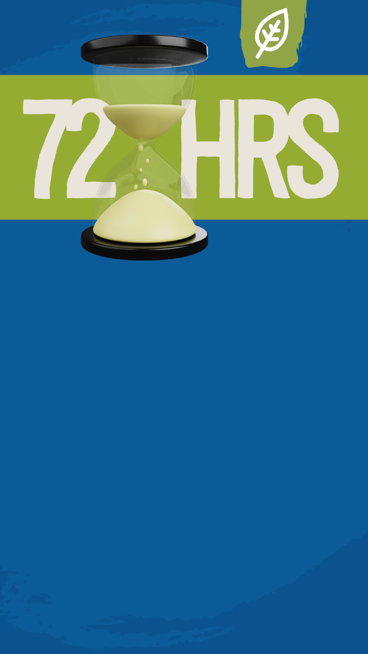 text,word,alphabet,number,symbol,sphere