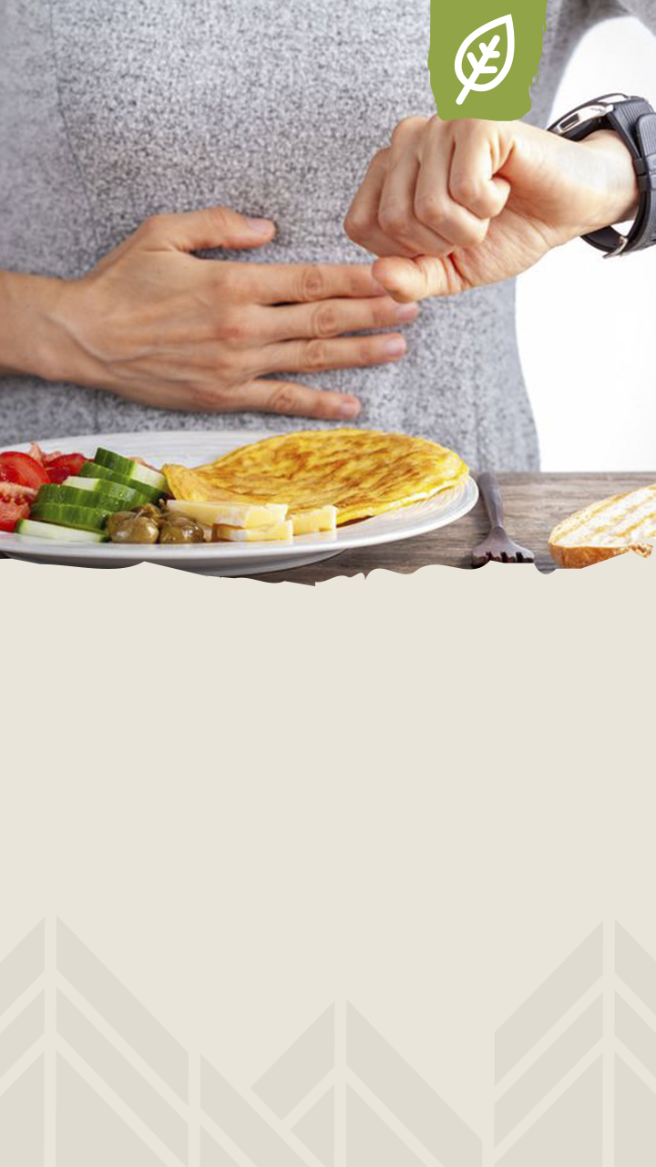 person,bread,food,pancake,meal,plant,dish,waffle,tortilla,female